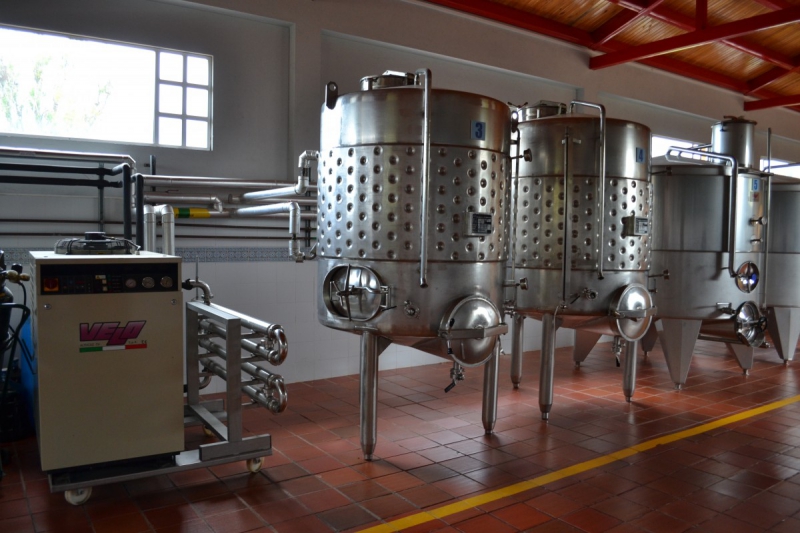 cave-AMIRAT-min_wine_production_cantine_winery_drink_alcohol_vine_beverage-902036